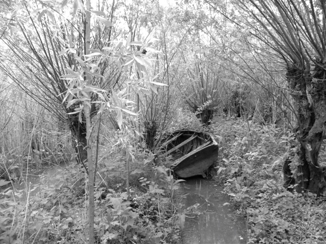 Nationaal Park De Biesbosch - Biesbosch 75 jaar bevrijd