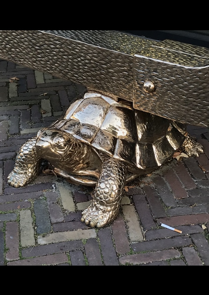 Kunstkerk Dordrecht, Schildpad